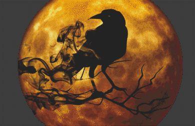 (image for) Shadows